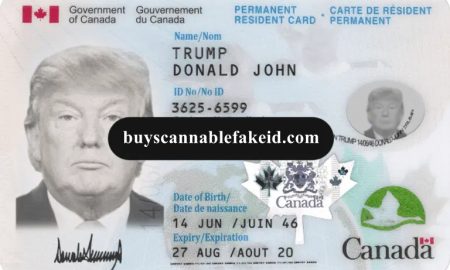 Canada Fake Green Card